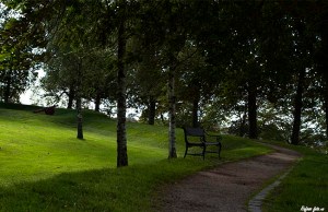 Gamlebyen i fredrikstad