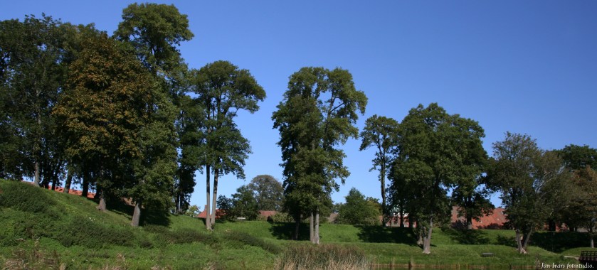 Gamlebyen fredrikstad