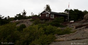 Hvaler