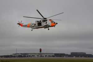 Sea King