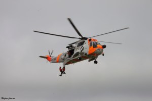 Sea King