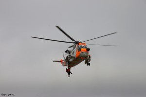 Sea King