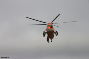 Sea King