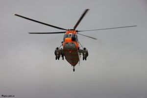 Sea King